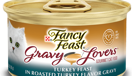 Fancy Feast Gravy Lovers Turkey In A Roasted Turkey Flavor Gravy